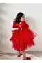 Girl's red tutu evening dress with butterfly - 4