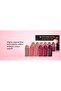 Velvet Matte Lipstick 6 pcs set Mix-2 Dark Red Collection - 2