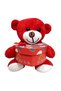 Heart Box Plush Teddy Bear Sweet Cute Romantic Love Package Surprise Yumoş Love Box Special Day Gift