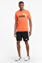 586709 Knitted Shorts Male - 5