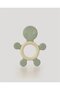 Gray Turtle Teether - Cute and Fun Baby Teether Set