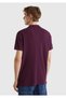 Purple Regular Fit Short Sleeve Men's Polo T-shirt - 3