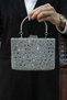 Women's Silver Stone Evening Dress Clutch Portfolio Bag