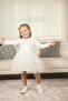 Girl's Peter Pan Collar Long Sleeve Lined Tulle Dress - 4