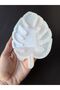 Epoxy Resin Monstera Leaf Silicone Mold, Camel Base Silicone Mold, Coaster Mold - 3