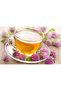 Kırmızı Yonca Kızıl Yonca Red Clover 35 Gr - 2