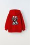 Hooded Fleece Inside Chess Think Printed Red Unisex Kids Hoodie Sweatshirt