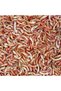 Gammarus 100 Ml - 2