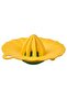 Funnel & Lemon Squeezer - 3