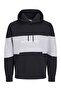 Hoodie Logo Hoodie - 2