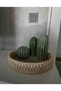 Decorative Wicker Handmade - Basket and Tray - 4