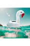 Swan Pool Toy and Cup Holder
