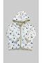 100% Organic Hooded Sweatshirt