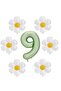 Water Green Color Number and 6 Daisy Foil Balloons Set Age 9