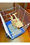 Hanging Bird Playground with Ladder and Wipes - 4