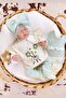 Organic Scallop Collar Süzene Flower Bunch Baby Hospital Exit Bodysuit Set
