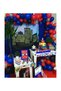 Bal10 Siderman Concept 50 Metallic Balloons and Balloon Chain