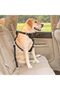 Dog Safety Belt Dog Tie-Down Belt Pet Safety Belt In-Car Dog Safety Tie-Down Belt - 6
