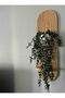 رف حائط سيمبليس - 5