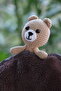 Pupa Series Little Explorers-Tactile Play- Amigurumi- Teddy Bear Puppet Toy- Tummy Time-Sensory - 2