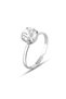Bijouterie Set - Gray - Zircon - 5