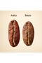 Cafe Arabica Coffee 50 Pieces - 2