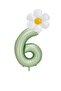 Bal10 6 Years Old Water Green Color Number and Daisy Foil Balloon Set