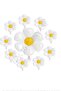 Best 10 Pieces Daisy Themed Foil Balloon Set