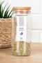 Set of 6 Wooden Spice Jars with Vacuum Lids, Labeled Glass Jar Storage Container 500 ml - 2
