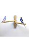 3 Suction Cup Glass Birdcage for Sultan Sevda Cennet Lovebirds and Other Birds of Similar Sizes - 3