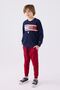 4-15 Years Licensed Us Polo ASSN Boy Suit - Navy Blue
