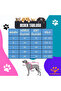 Batman Dog Singlet Cat & Dog Outfit Singlet - 3