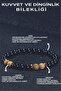 Strength & serenity bracelet - onyx - jasper - hematite - energy & healing combo