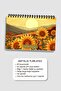 Planning Set of 3, Daily Planner, Weekly Planner, To-Do List, Academic Agenda - 5