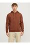 Pullover brown