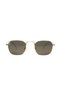 AR Collection Unisex Metal Polarized Sunglasses AR2229 C3 - 5