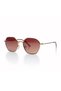 Ar Collection Unisex Metal Polarized Sunglasses Ar2234 C4 - 2