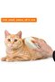 Cat Brush, 3-in-1 Steam Brush - 8