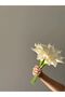 Gala Bridal Bouquet, Bridal Flower - 5