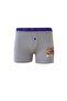 Pack of 12 Boys Colorful Printed Boxer Panties Children's Underpants - 8
