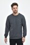 Men's Anthracite Crew Neck Embroidery Detailed Regular Fit Sweatshirt - 3