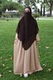 Pleated Zippered Aerobin Fabric Hijab Ferace/Dress - Honey Foam - 4