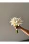 Gala Bridal Bouquet, Bridal Flower - 4