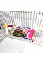 Sultan Sevda Is Suitable for Parakeets, Budgies, and Birds of Those Sizes. - 4