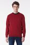 Regular Fit Regular Cut Crew Neck Red Men's Knitwear Sweater