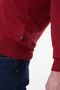 Regular Fit Regular Cut Crew Neck Red Men's Knitwear Sweater - 6
