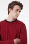 Regular Fit Regular Cut Crew Neck Red Men's Knitwear Sweater - 3