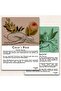 Yin Yoga Set with 25 Cards + 1 Set Gift - 4