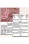 Yin Yoga Set with 25 Cards + 1 Set Gift - 5