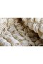 Cream Color 3-Seater Cotton Sofa Couch Cover - Stretch - 2